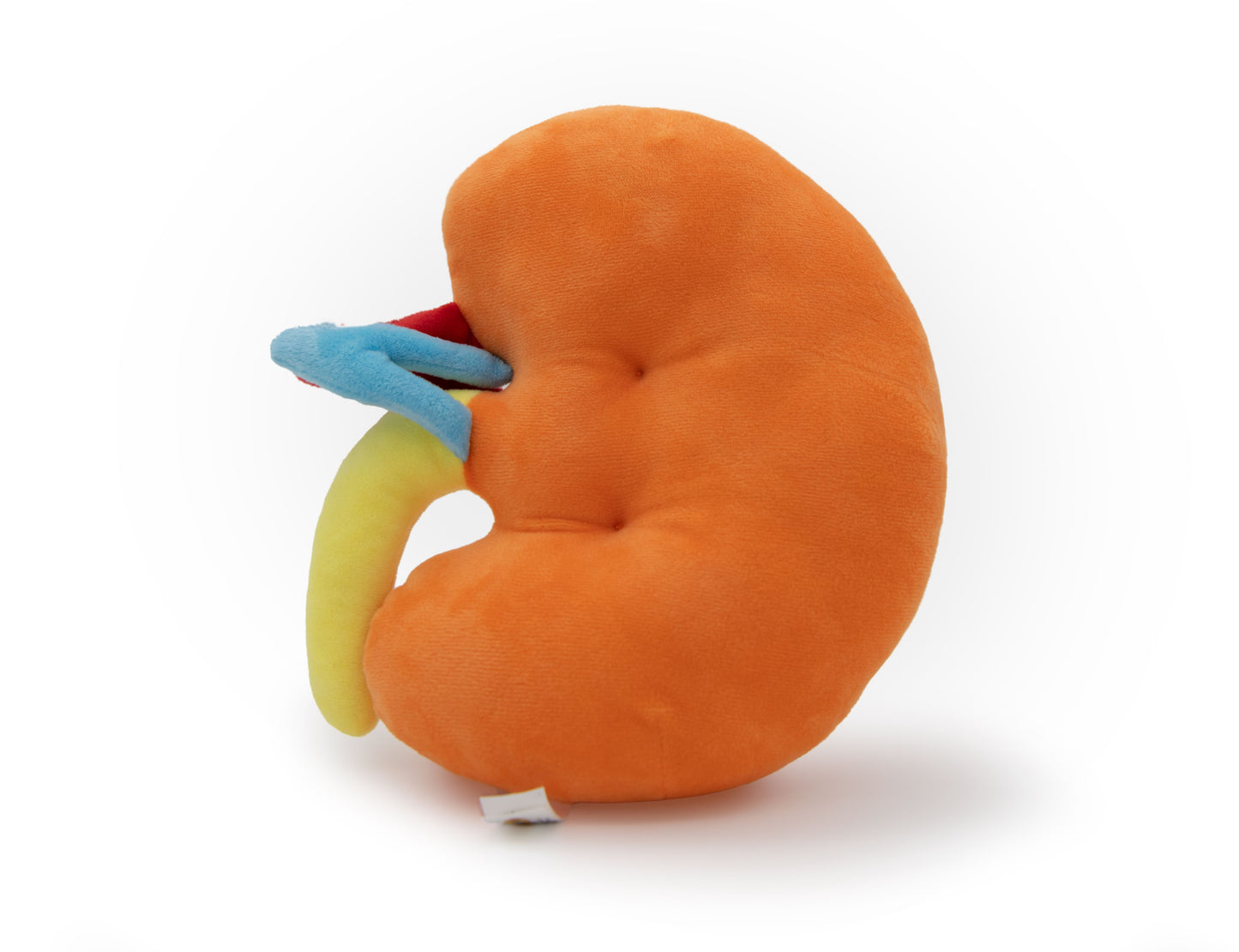 Glomerulo the Kidney Plushie